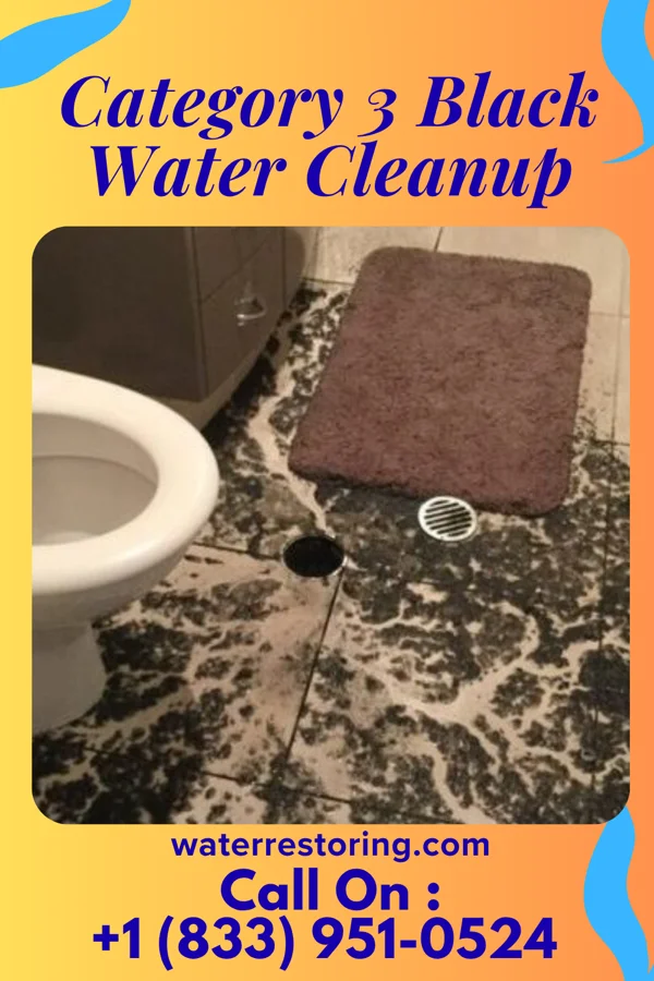Category 3 Black Water Cleanup in Northwest Ithaca, NY