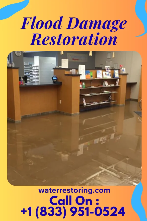 Flood Damage Restoration in Northwest Ithaca, NY