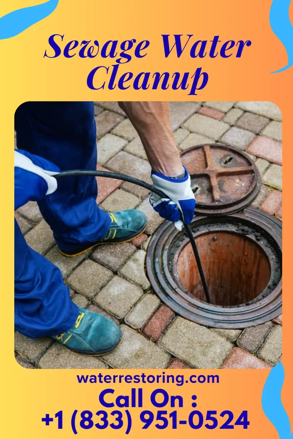 Sewage Water Cleanup in Northwest Ithaca, NY