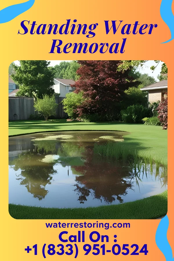 Standing Water Removal in Northwest Ithaca, NY